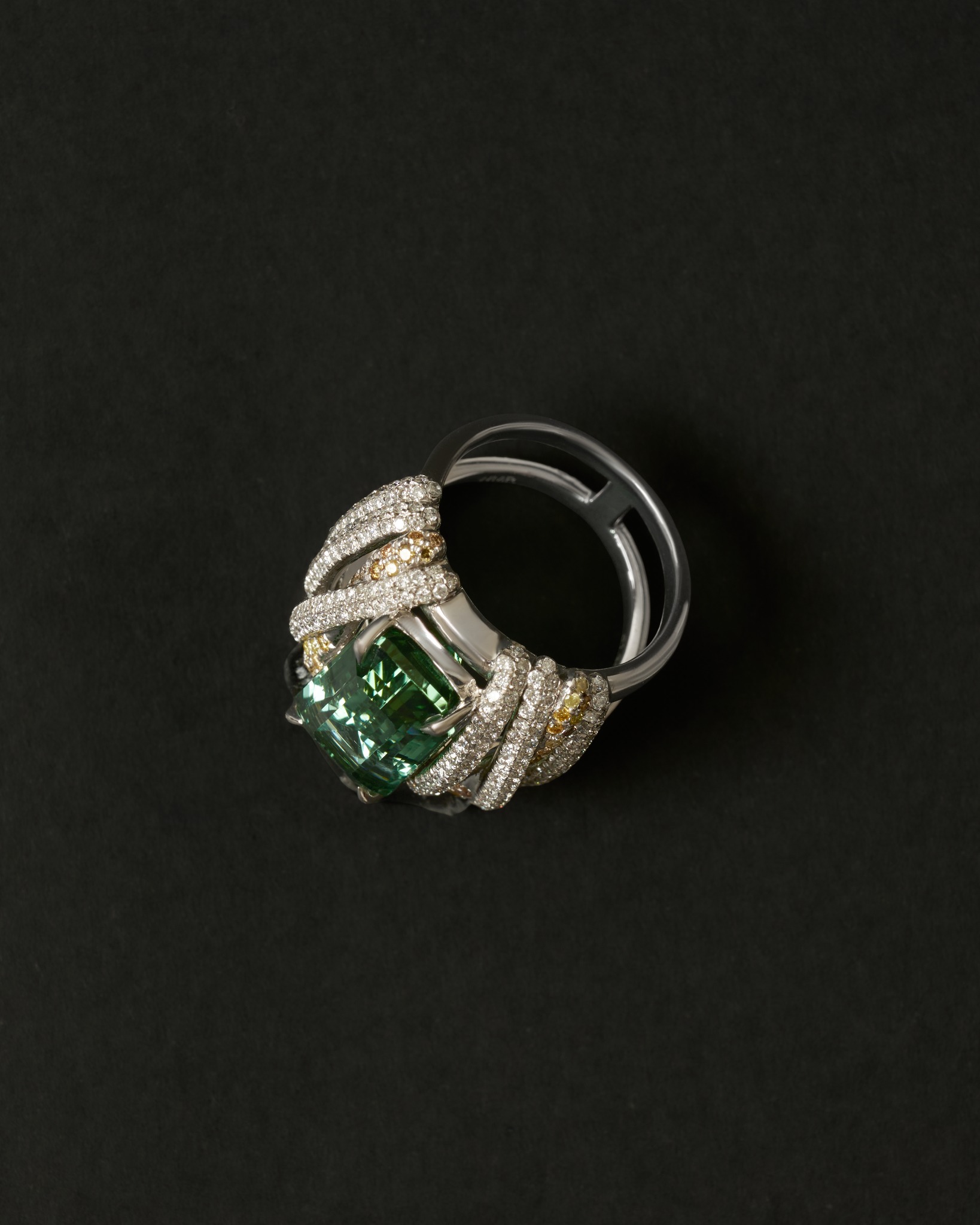 Bamboo Ring, second perspective