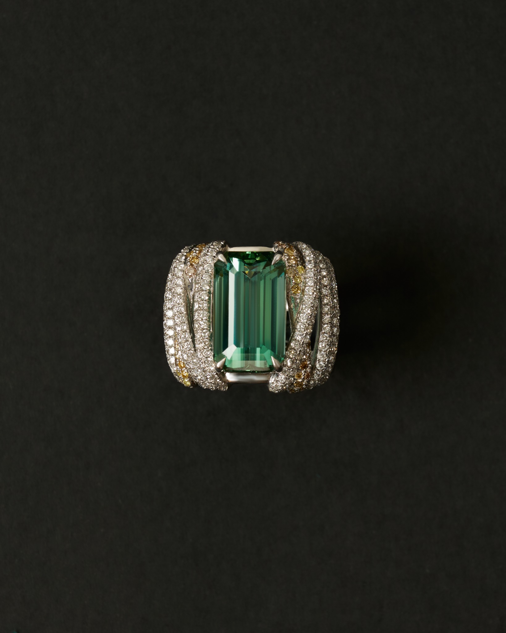 Bamboo Ring, first perspective